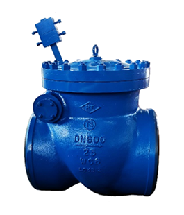Extraction steam check valve